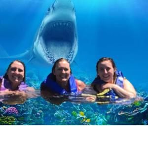 Meet your Posher, Bonnie